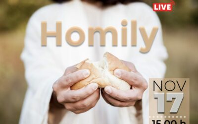 Homily 11.17.2021