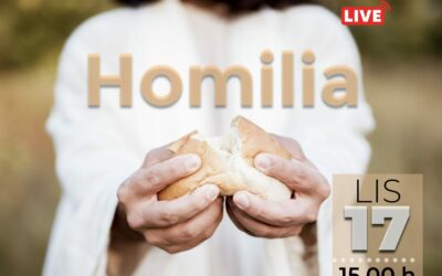 Homilia 17.11.2021