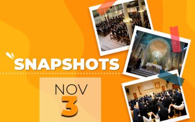 Snapshots 3.11