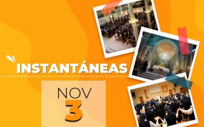 Instantáneas 3.11