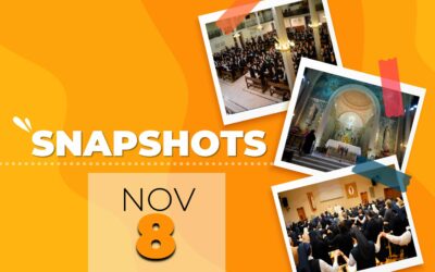 Snapshots 8.11