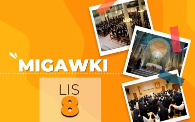 Migawki 8.11