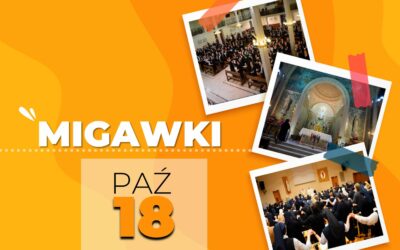 Migawki 18.10